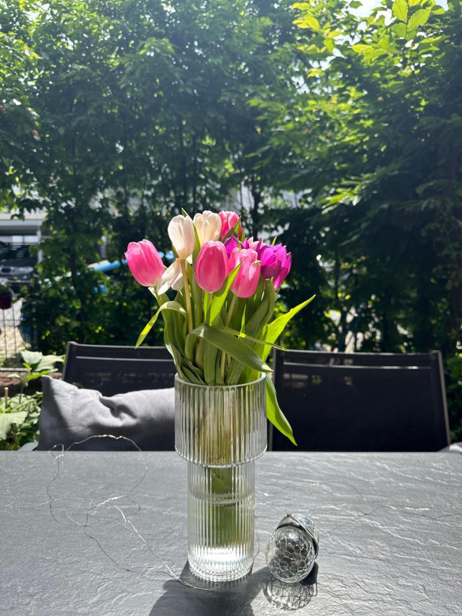 Luxus I Wohnkueche I Garten I Terrasse I Parkplatz Fürth 外观 照片